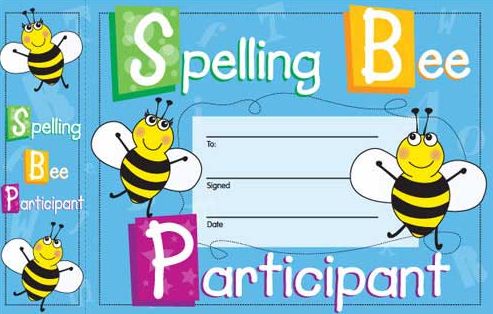 spellingbee Waarom je niet alle taal- en spellingsregels hoeft te kennen