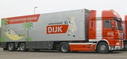 dijk Deze varkens gaan blij naar het slachthuis