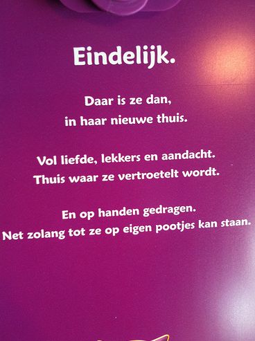 Bij Whiskas kunnen ze niet spellen