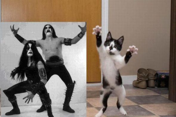 Maandagmorgenhumor: black metal cat