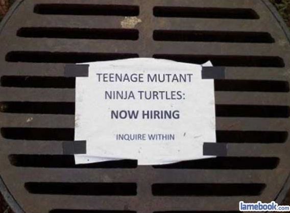 Maandagmorgenhumor: Turtles wanted!
