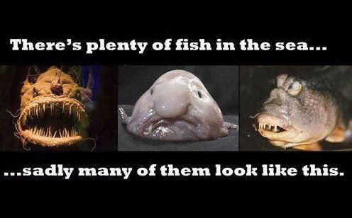 Maandagmorgenhumor: plenty of fish