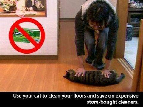 Maandagmorgenhumor: multifunctionele kat