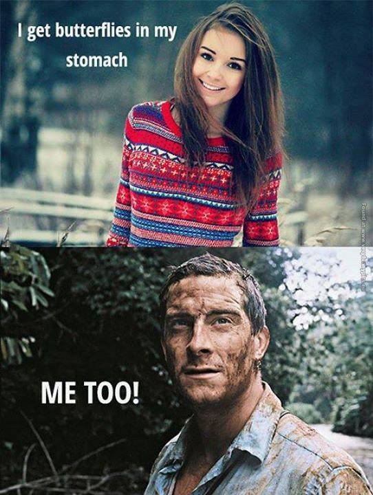 beargrylls